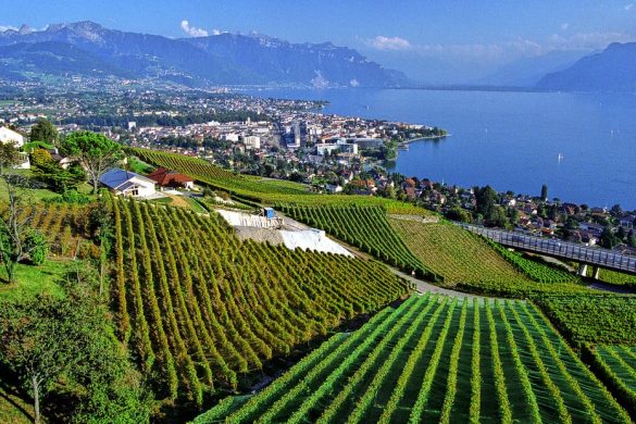 Vaud