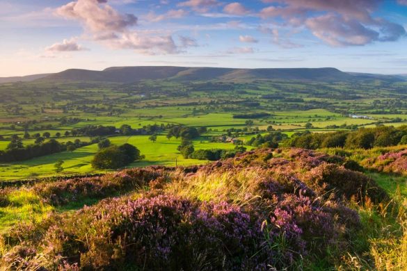 Lancashire